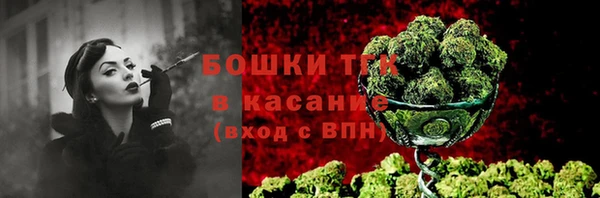 трава Инсар