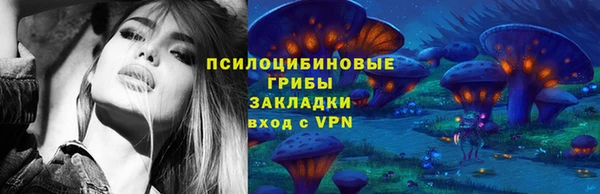 трава Инсар