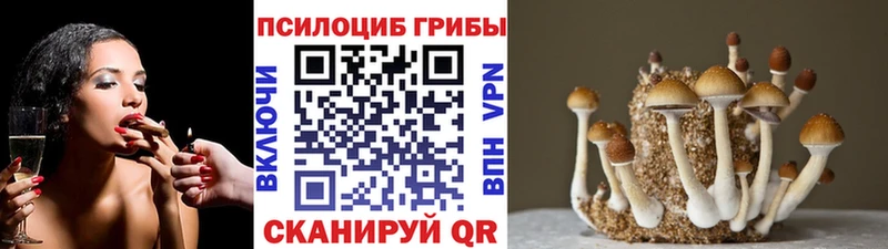 Галлюциногенные грибы Psilocybine cubensis Славск